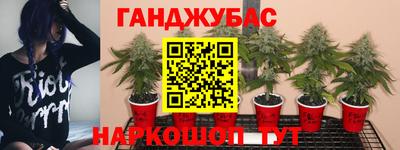 прущая мука Пыть-Ях
