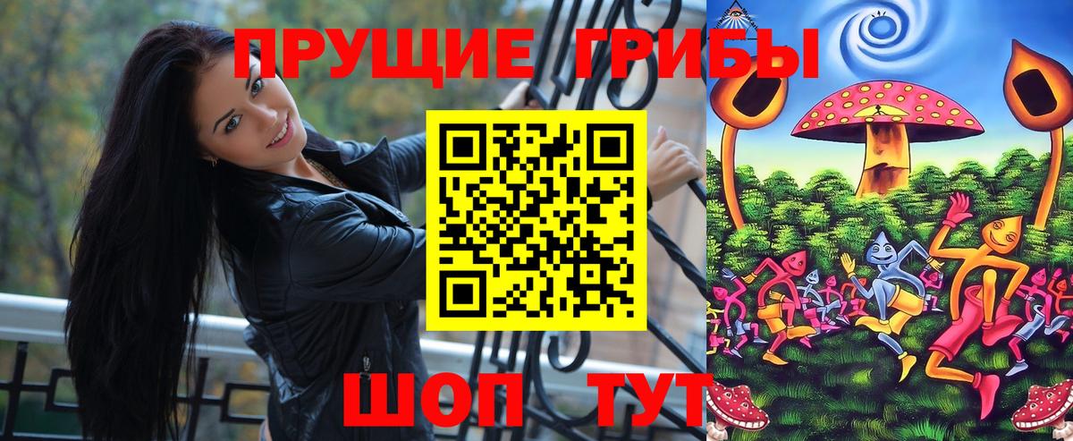 наркошоп  Псилоцибиновые грибы прущие грибы  Вход с VPN  Ачхой-Мартан 