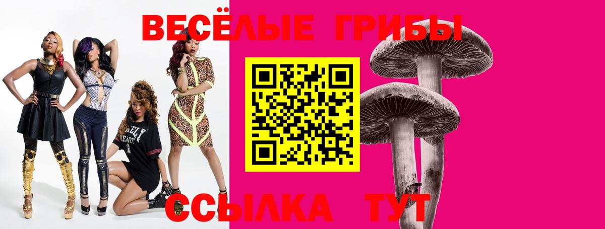 Псилоцибиновые грибы Magic Shrooms Ачхой-Мартан